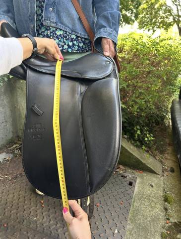 Selle de dressage 