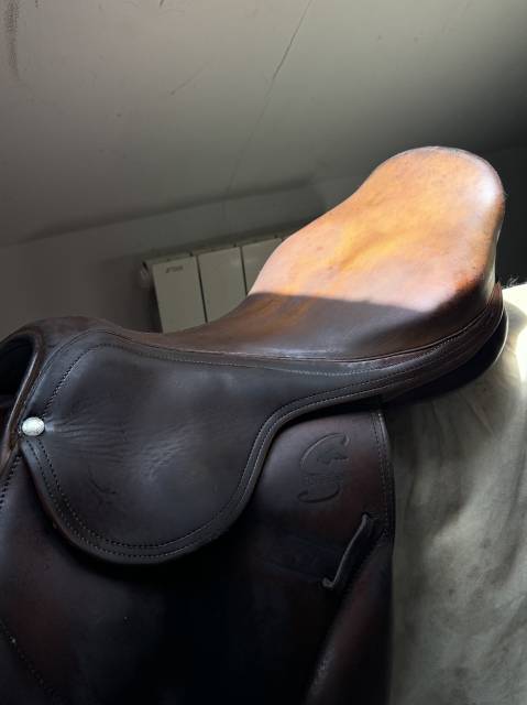 Selle mono quartier cross / obstacle Forestier Boeckelo
