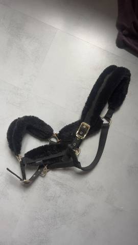 Licol noir faux mouton 