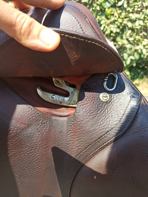 Selle Cwd SE01
