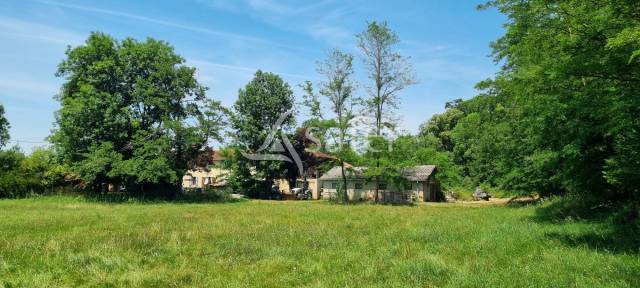 Propri&eacute;t&eacute; d'&eacute;levage avec ancien moulin et 13ha attenants