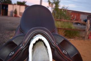 Selle devoucoux dressage 17,5
