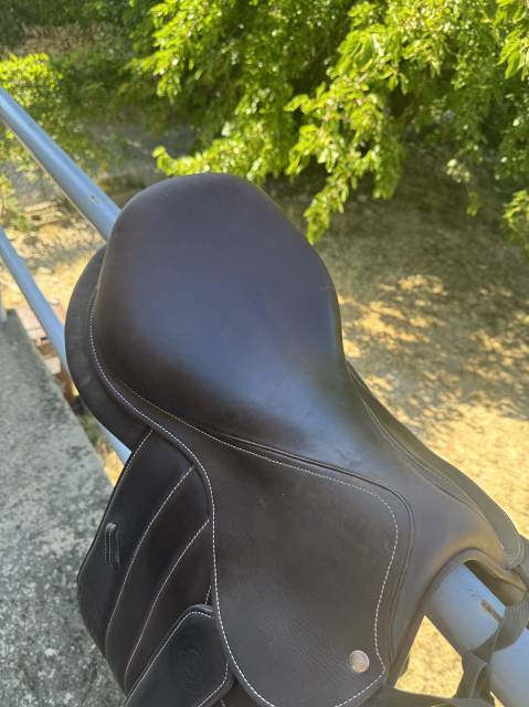 Selle S&eacute;oul forestier 