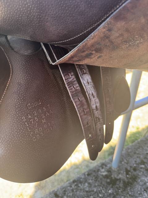 Selle S&eacute;oul forestier 