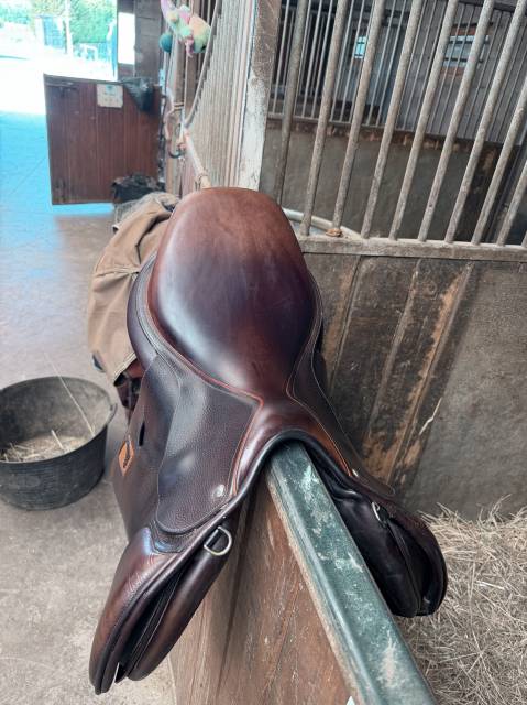 Selle Childeric 2021