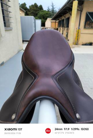 selle Antares Signature 17,5