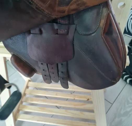 Selle Forestier Sergonzac