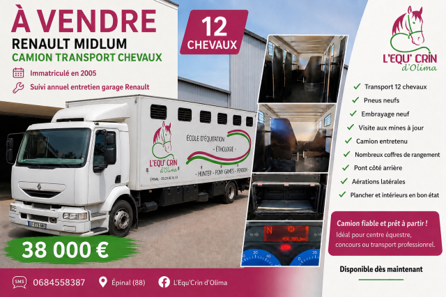 VENDS CAMION 12  PLACES CHEVAUX 456763 KM PNEUS NEUFS