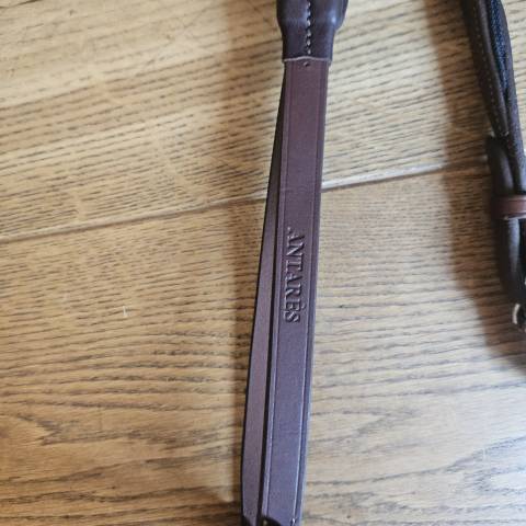 R&eacute;nes Precision &Eacute;lastiques Antares