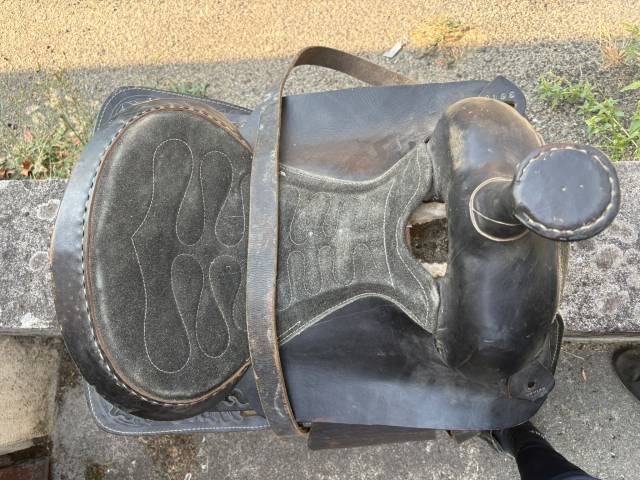 Selle western 