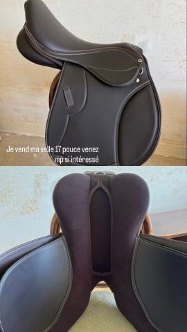 Selle Norton club rexine 