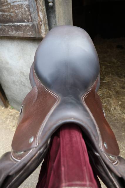 Selle Forestier mod&egrave;le Prem's