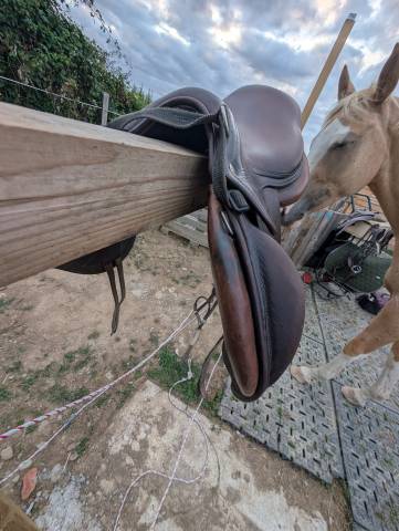 Selle monoquartier SCB