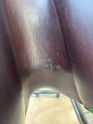 Selle Equipe Expression 17,5