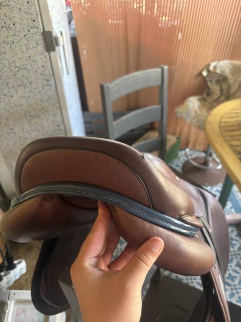 Selle Time rider platinium 