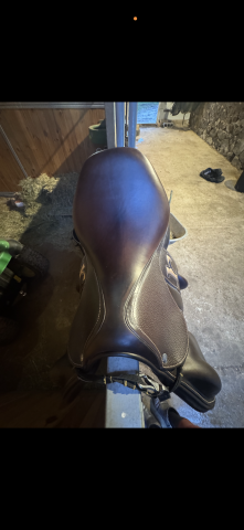 Selle rebelle 