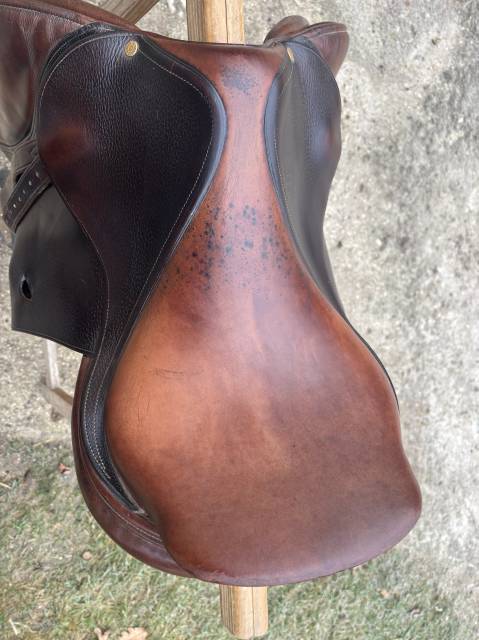 Selle bruno delgrange a vendre 
