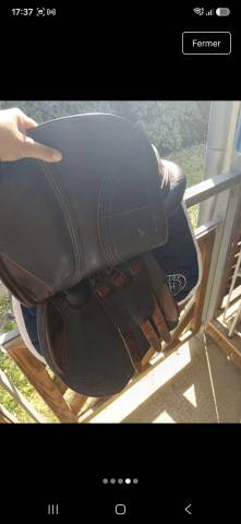Selle d'obstacles Arion 