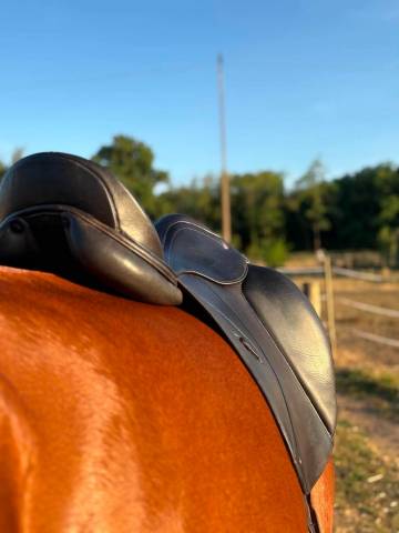 Selle dressage Herv&eacute; Godignon One noir 17,5