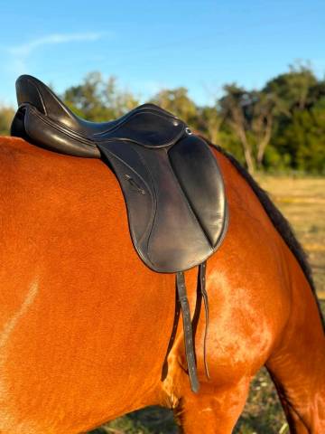 Selle dressage Herv&eacute; Godignon One noir 17,5