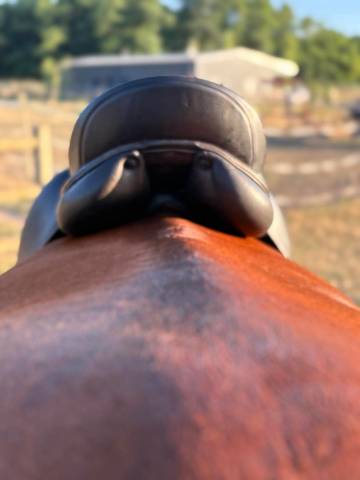 Selle dressage Herv&eacute; Godignon One noir 17,5
