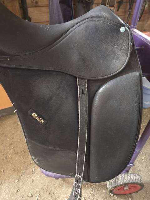 Selle wintec dressage