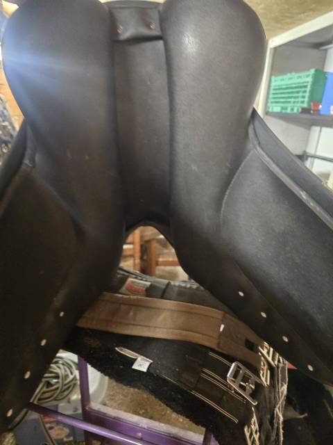 Selle wintec dressage