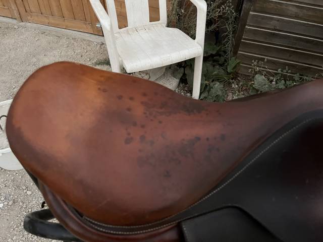 Selle Butet 17 pouces