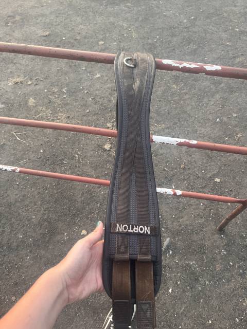 Selle Norton Pro Mixte Havane 17,5