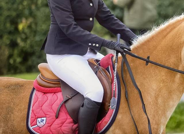 Selle GBS 17 &ndash; si&egrave;ge semi-creux &ndash; tr&egrave;s bon &eacute;tat