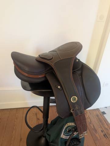 Forestier Seoul Sport 17,5" &ndash; Excellent &eacute;tat 