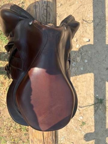 SELLE BOECKLEO FORESTIER