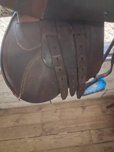 Selle Forestier junior 16"