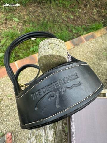 Vends Filet &agrave; t&ecirc;ti&egrave;re d&eacute;port&eacute;e Dy'on taille cob