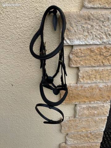 Vends Filet &agrave; t&ecirc;ti&egrave;re d&eacute;port&eacute;e Dy'on taille cob