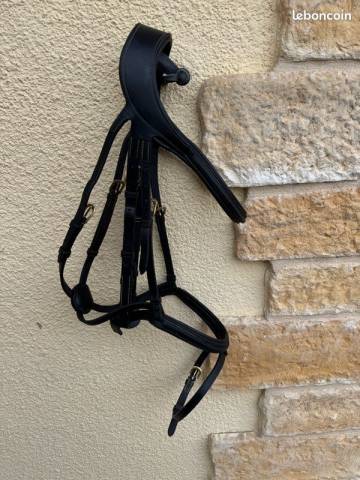 Vends Filet &agrave; t&ecirc;ti&egrave;re d&eacute;port&eacute;e Dy'on taille cob