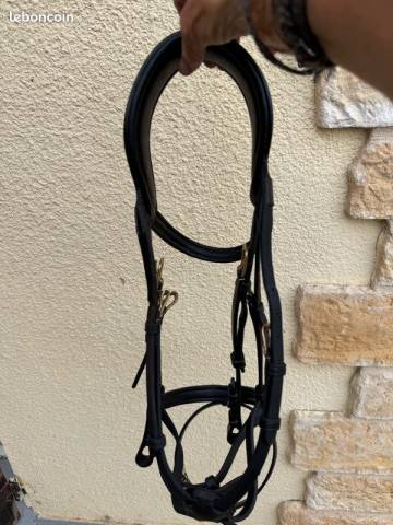 Vends Filet &agrave; t&ecirc;ti&egrave;re d&eacute;port&eacute;e Dy'on taille cob