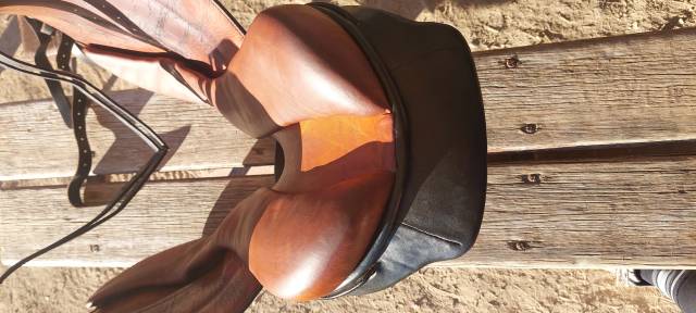 Selle stubben 