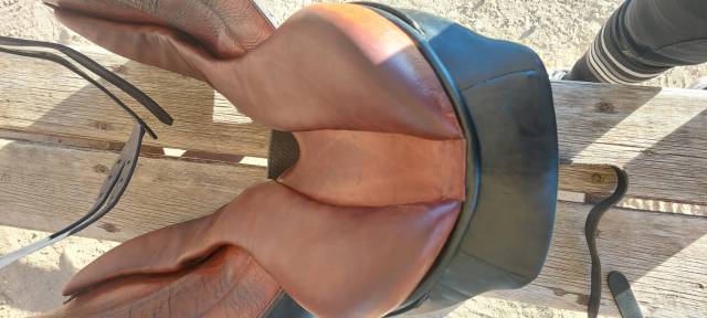Selle stubben 
