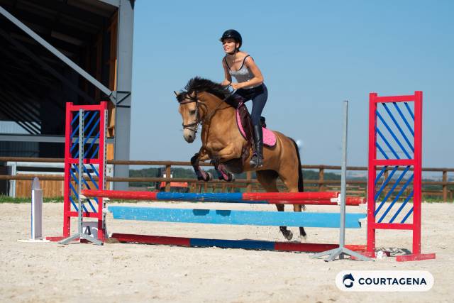 Ponette connemara 6 ans id&eacute;ale enfants