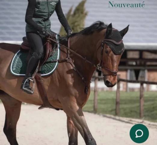 Collier de chasse 3 points Devoucoux neuf M