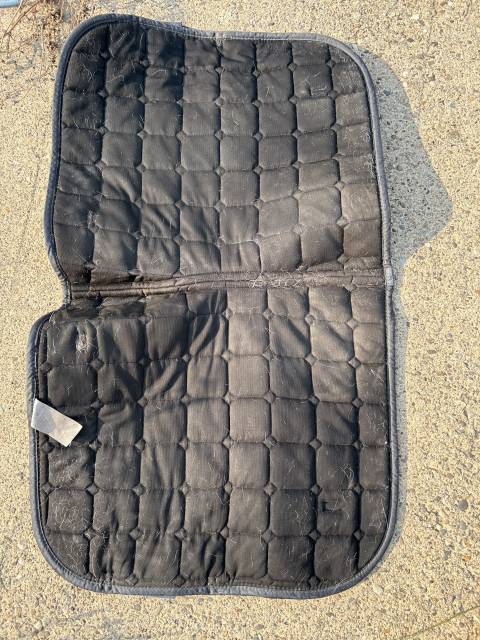 Tapis de dressage 
