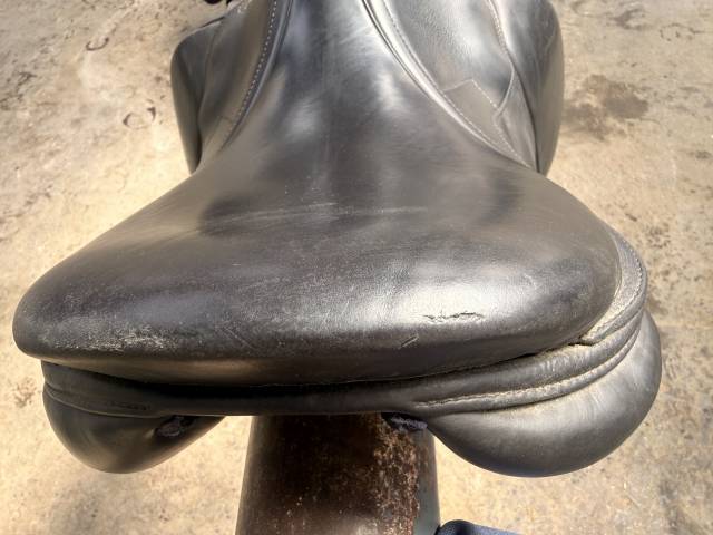 Selle Signature Antares