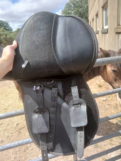 Selle thorowgood cob T4