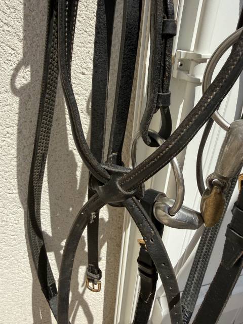 Bridon pour petit cheval 