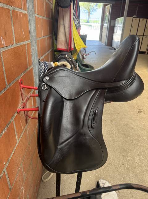 Selle  Aviar &agrave; vendre