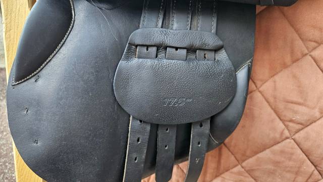 Selle mixte Eric Thomas