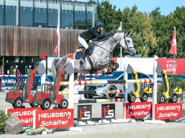 Top jument de sport &agrave; vendre