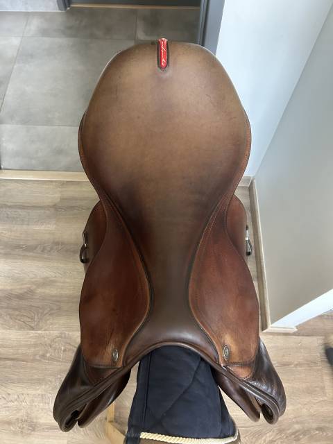 Selle &eacute;quipe sp&eacute;cial one 17,5 de 2022