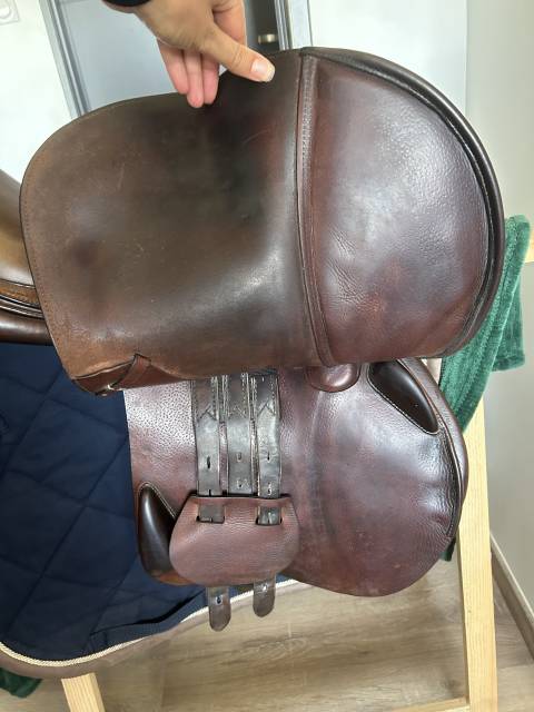 Selle &eacute;quipe sp&eacute;cial one 17,5 de 2022
